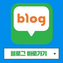 블로그 바로가기