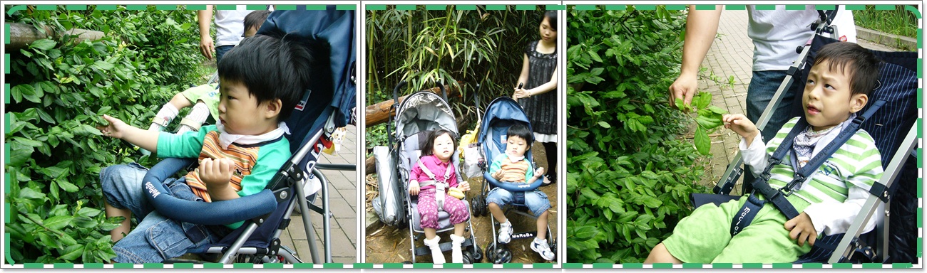 조기교육실 즐거운 현장학습 조기교육실 즐거운 현장학습