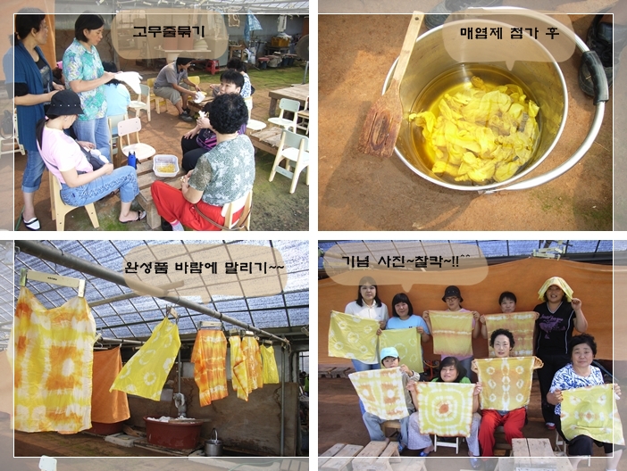 여성장애인 자조모임 - 천연 염색 체험 여성장애인 자조모임 - 천연 염색 체험