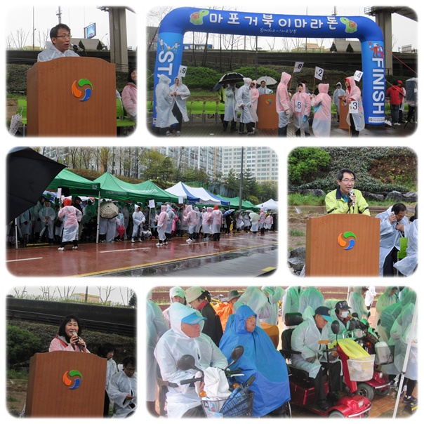 제3회 마포거북이마라톤 개최 제3회 마포거북이마라톤 개최
