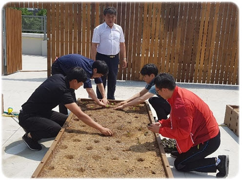 옥상 텃밭 만들기 옥상 텃밭 만들기