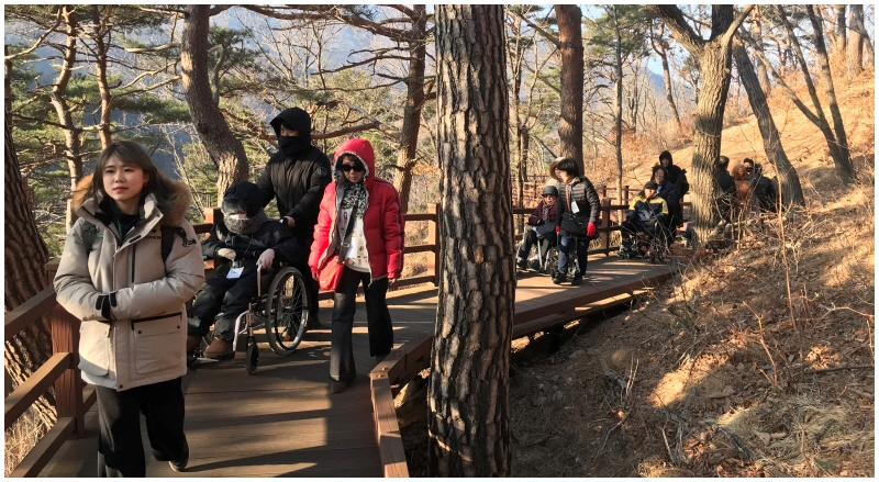 나눔의 숲캠프 "어서 와, 숲치유는 처음이지?" 나눔의 숲캠프 "어서 와, 숲치유는 처음이지?"