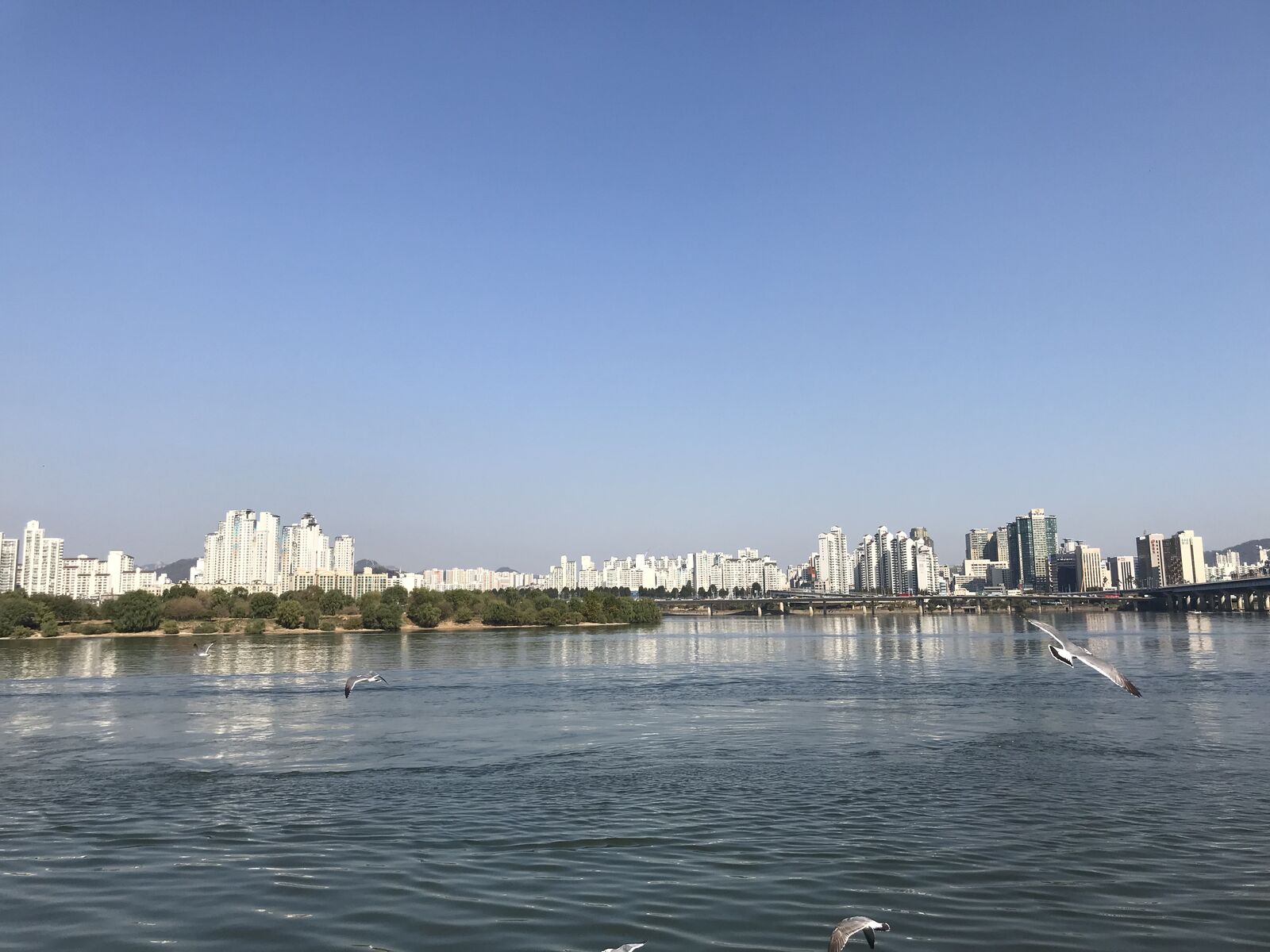 해피맘 패밀리 투게더를 실시하였습니다