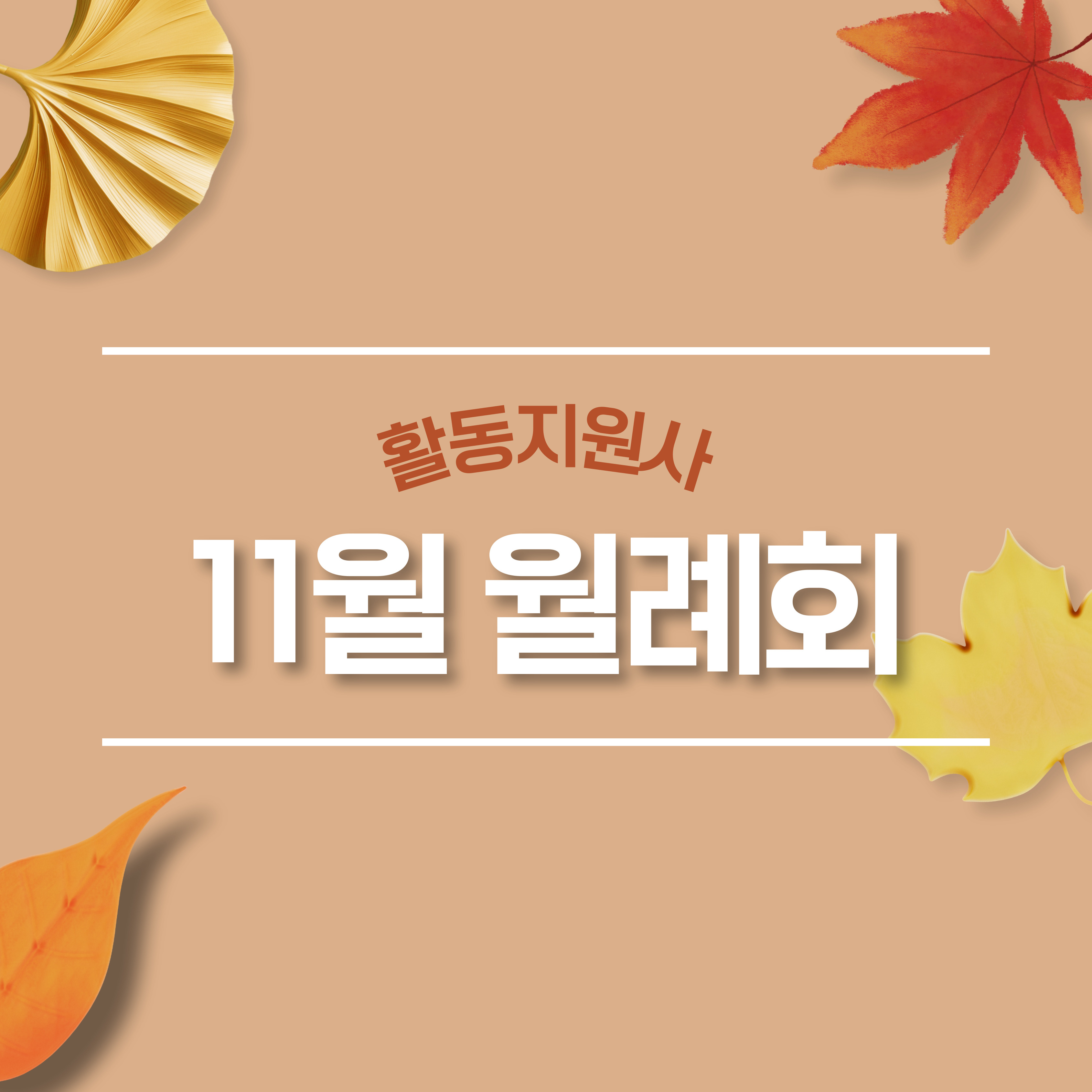 활동지원사 11월 월례회 활동지원사 11월 월례회